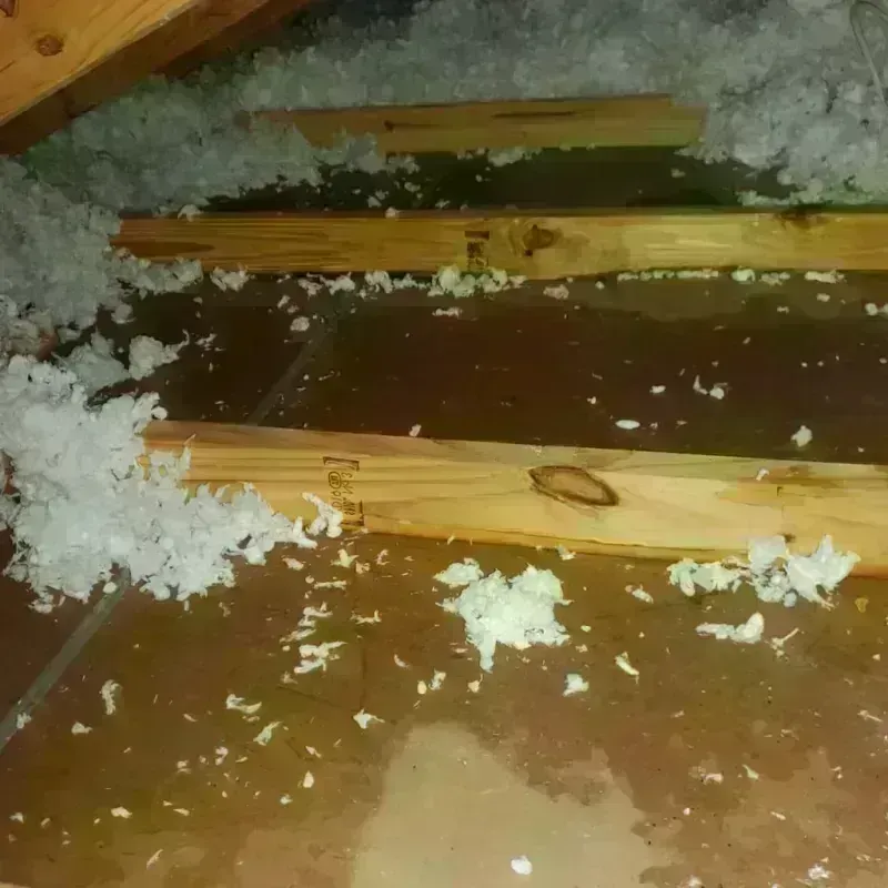 Attic Water Damage in Parke County, IN